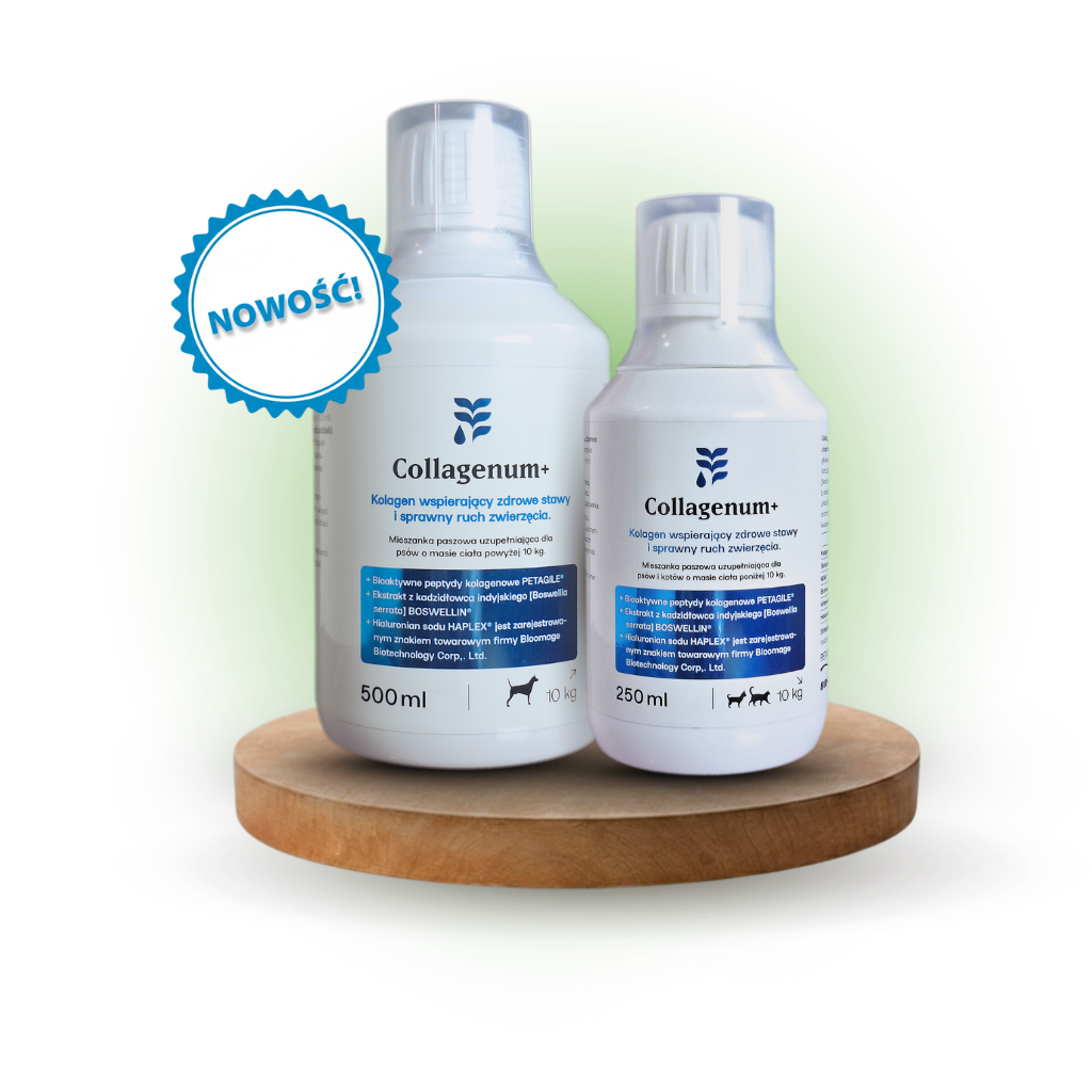 collagenum nowość