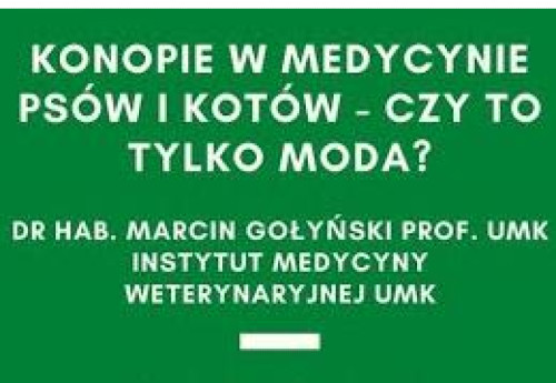 Suplementy diety i preparaty konopne dla ludzi i zwierząt | cannabiumvet.pl