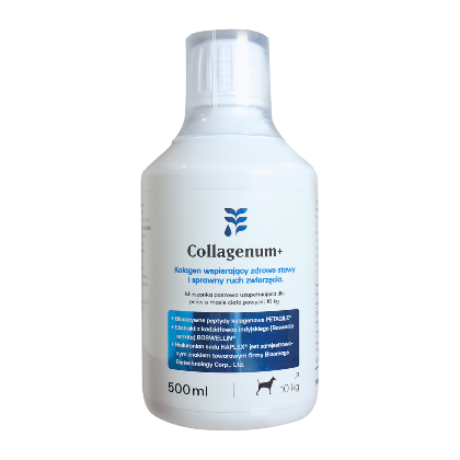Collagenum+ dla psów o masie ciała powyżej 10 kg