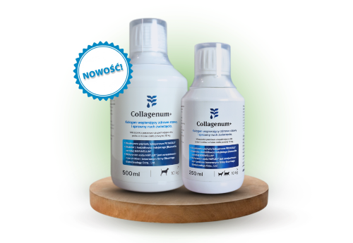 Suplementy diety i preparaty konopne dla zwierząt | cannabiumvet.pl